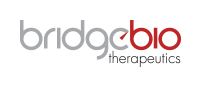 Bridgebio Therapeutics, inc. Logo